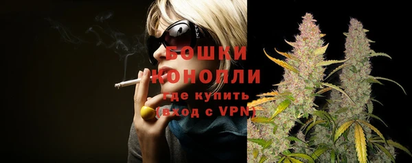 стаф Ступино