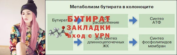 гашик Тайга