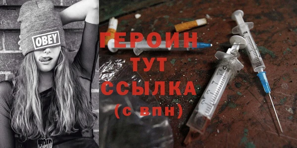 гашик Тайга