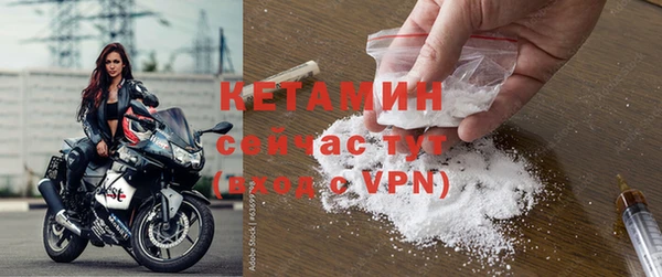 индика Тавда