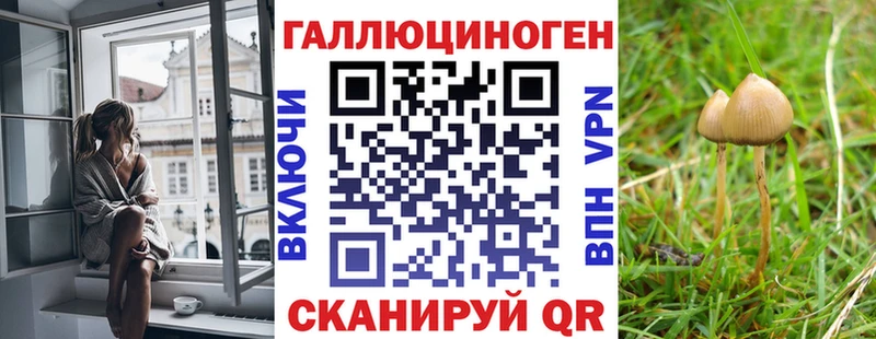 где купить наркоту Котельниково Псилоцибиновые грибы Psilocybe